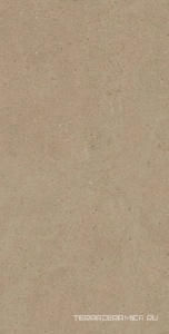 Спенс CE01 60x120x9 Структур.Рект.