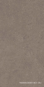 Спенс CE04 60x120x9 Структур.Рект.