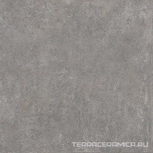 Геркуланум серый |50.2х50.2