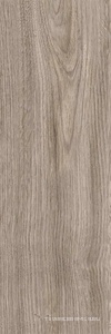 Baltika grey PG 02 20х60