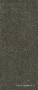 Rinascenza Arena Platino Matte R10 B 120x280 