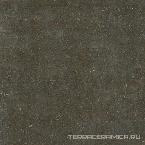 Rinascenza Arena Platino Matte R10 B 120x120