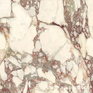 Calacatta Viola Natural (R9) ZZ 75x75