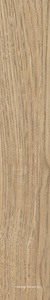 Base Natural Lisco |19.5x120