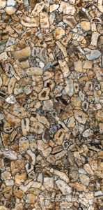 Agata Atena Lucidato (Shiny) 6 mm 150x300