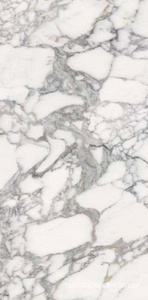 Luxury Stone SS12046 Pol 60x120