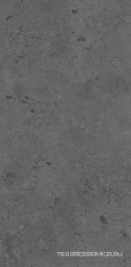 Про Лаймстоун серый тёмный натуральный обрезной 60x119,5