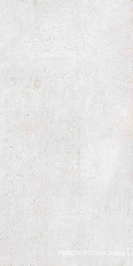 Scorpia silver matte 60x120 ZZ