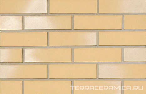 Кирпич обл. Mannheim NF GT ZZ |24x11.5x7.1