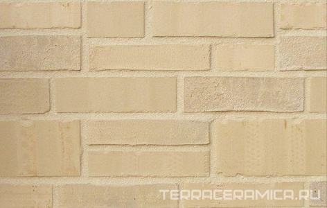 Кирпич обл.Kopenhagen DF BA  |24x11.5x5.2 XX