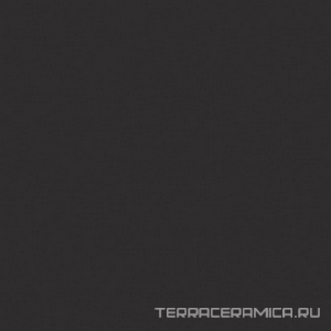 Rainbow RW10 black неполир. ZZ60x120
