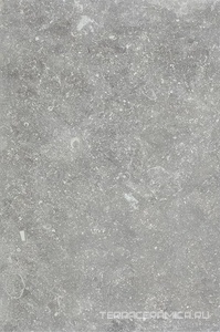 Ardenne Grigio 40x60.8