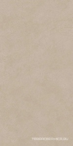 Boost Natural Ash ZZ 60x120