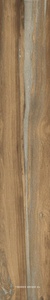 Infinity (Infusion) Oak 24x150