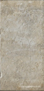 Sugar Cane |10x20