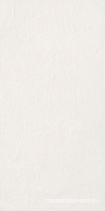 Chromagic Tasty Oyster rett.ZZ|60x120