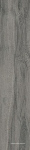 Daring Dark  |24x120