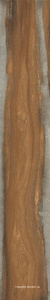 Infinity (Infusion) Nut 24x150