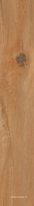Leccio Oliato KL 20x120