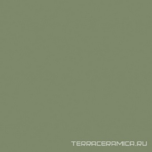 Rainbow RW06 зелёный полир. ZZ 60x60