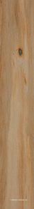 Leccio Classico KL 20x120