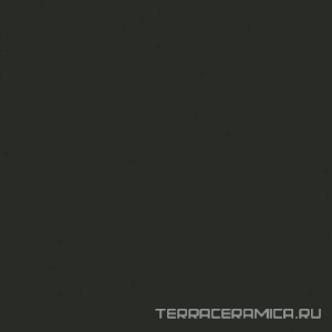 Flexi A Black Bri (п.п.) ZZ |30x30
