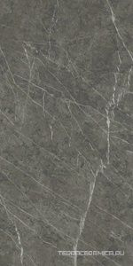 Marvel Grey Stone |60x120