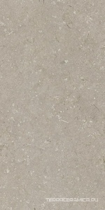 Shellstone Taupe 60x120