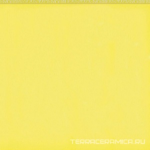 Flexi 1 Yellow Bri ZZ |30x30