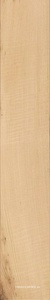 Tronco nat Rett ZZ|20x120