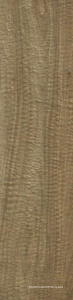 Nuances Sandalo OUT RT ZZ |22.5x90