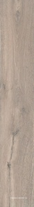 Roots Taupe 20x120