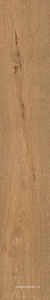 Roots Gold 20x120