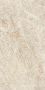 Marvel Diva Taj Mahal 60x120