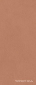 Boost Expression Sienna ZZ 50x120