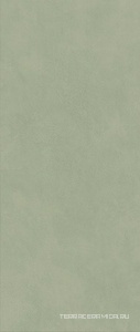 Boost Expression Olive ZZ 50x120