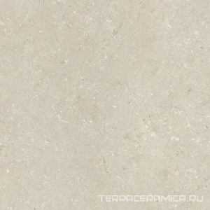 Shellstone Beige 120x120