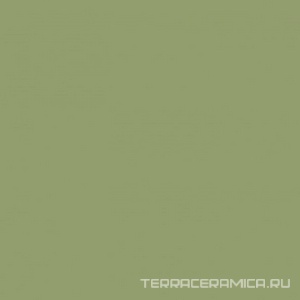 Моноколор зеленый ZZ|40x40