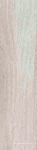Oak grey  |12.5x50