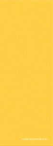 Vela Ochra |20.1x50.5
