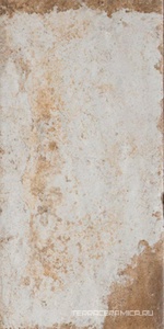 Sugar Cane ZZ 20x40