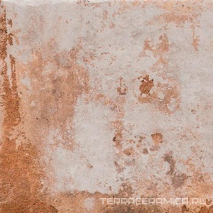 Cohiba (cotto) ZZ 20x20
