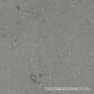 Arkaim Grey G213/Аркаим серый мат .60x60