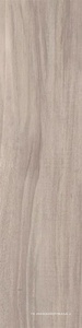 Nut grey |12.5x50