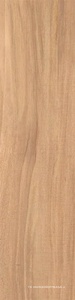Nut beige 12.5x50