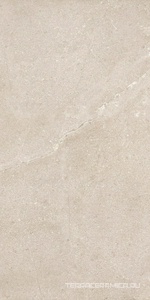 New Stone Daino 60x120