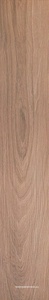Acanto Rovere ZZ |20х120
