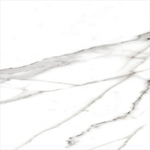 Roma Statuario Matt RT ZZ I60x60