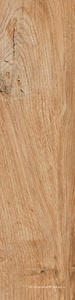 Daring Nut Strong ZZ|15x61