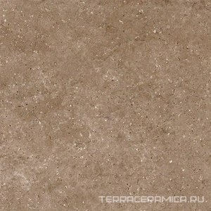 Arkaim Brown G214/Аркаим коричневый мат . 60x60